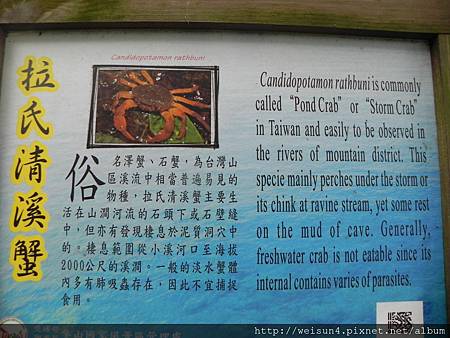 蓬萊溪_看板_拉氏清溪蟹 蓬萊溪_看板_拉氏清溪蟹
