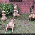 DSCN4061_迎賓兔