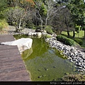 DSCN4223_綠水池