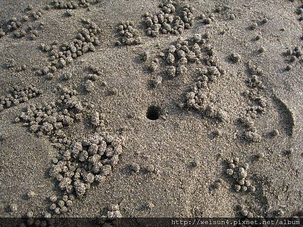新月沙灘_IMG_7809_擬糞