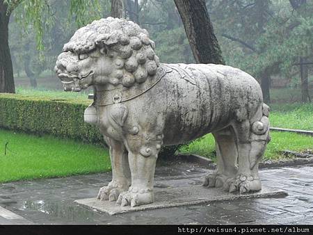 DSCN8520_神道石像生_獅 DSCN8520_神道石像生_獅