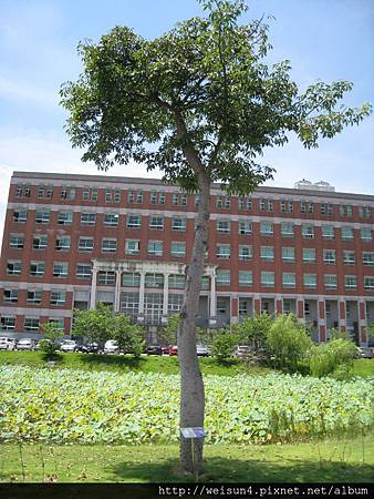 IMG_1307_亞洲大學_美人榭 IMG_1307_亞洲大學_美人榭