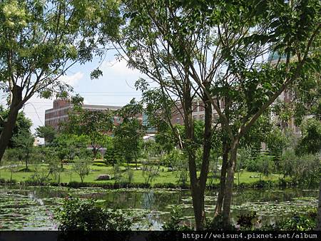 IMG_1328_亞洲大學 IMG_1328_亞洲大學