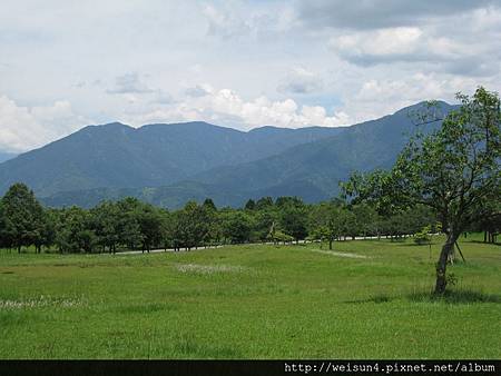 IMG_1356_暨南大學 IMG_1356_暨南大學