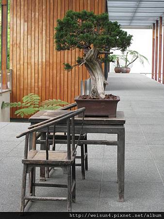 IMG_1385_涵碧樓_迎賓廣場 IMG_1385_涵碧樓_迎賓廣場