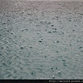 IMG_1436_涵碧樓_游泳池_下雨