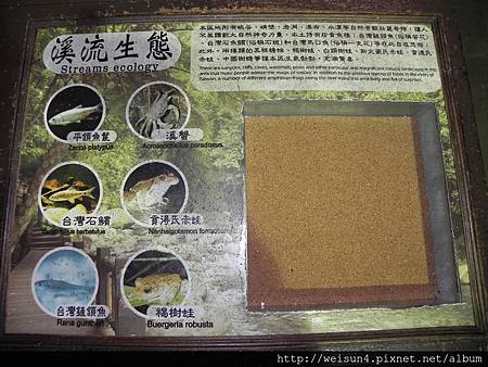 DSCN8707_看板_溪流生態 DSCN8707_看板_溪流生態