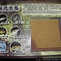 南庄_DSCN8707_看板_溪流生態