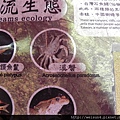 南庄_DSCN8716_看板_溪流生態_溪蟹