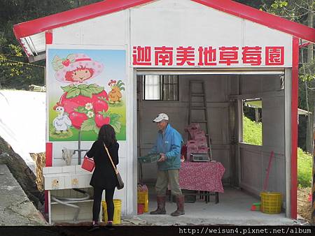 DSCN8353_迦南美地草莓園 DSCN8353_迦南美地草莓園