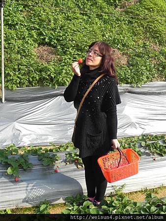 DSCN8366_裝可愛 DSCN8366_裝可愛