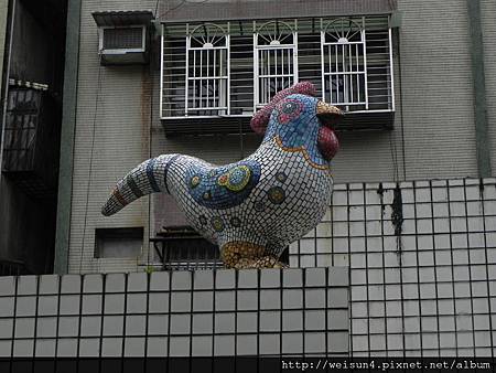 DSCN0250_公雞 DSCN0250_公雞