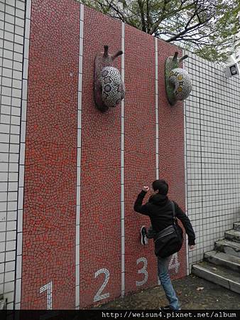 DSCN0295_磁磚_蝸牛賽跑 DSCN0295_磁磚_蝸牛賽跑
