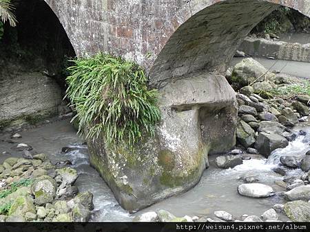 大山背_DSCN9636_聯安橋 大山背_DSCN9636_聯安橋