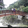 大山背_DSCN9677_大山背_木橋