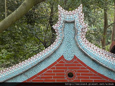九芎湖_DSCN5635_馬背_金 九芎湖_DSCN5635_馬背_金