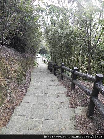 九芎湖_DSCN5600_霽月步道 九芎湖_DSCN5600_霽月步道
