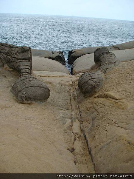 基隆_野柳_節理線&薑石_DSC01079