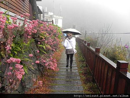 阿里山_DSCN9558_奮起湖站 阿里山_DSCN9558_奮起湖站