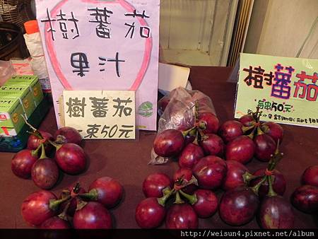 阿里山_DSCN9619_樹蕃茄 阿里山_DSCN9619_樹蕃茄