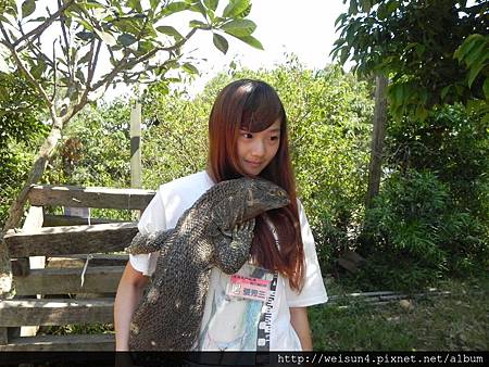 天馬牧場_DSCN9925 天馬牧場_DSCN9925