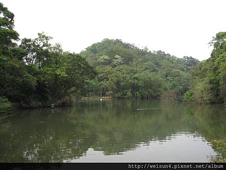 綠世界_IMG_7186_天鵝湖 綠世界_IMG_7186_天鵝湖