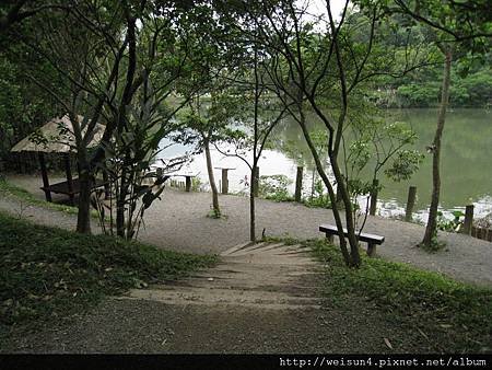 綠世界_IMG_7208_天鵝湖 綠世界_IMG_7208_天鵝湖