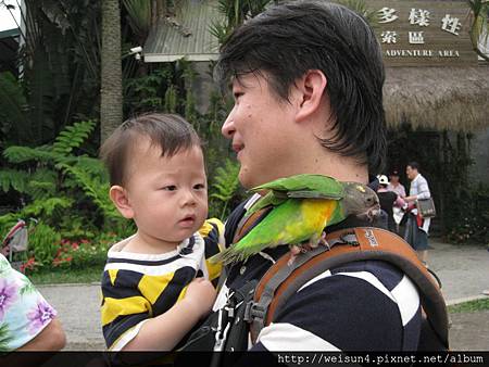 綠世界_IMG_7262 綠世界_IMG_7262