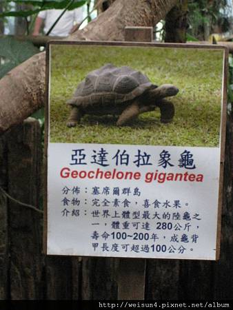綠世界_IMG_7285_看板_亞達伯拉象龜 綠世界_IMG_7285_看板_亞達伯拉象龜