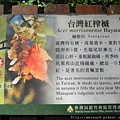 馬那邦山_DSCN3620_看板_台灣紅榨槭