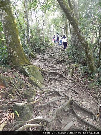 馬那邦山_DSCN3629 馬那邦山_DSCN3629