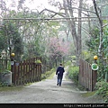 南庄_峰漾山彩_DSCN0023