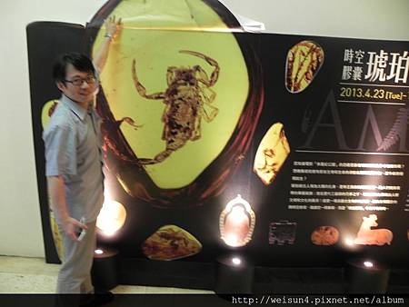 台博館_琥珀特展_DSCN8672_琥珀特展 台博館_琥珀特展_DSCN8672_琥珀特展