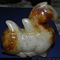 古玉_駱駝_DSCN7362