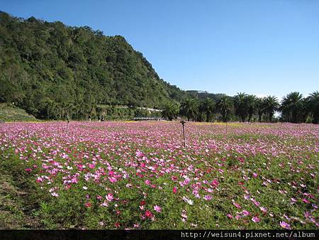 大同鄉_DSCN0582m_IMG_3668_大同鄉.JPG 大同鄉_DSCN0582m_IMG_3668_大同鄉.JPG