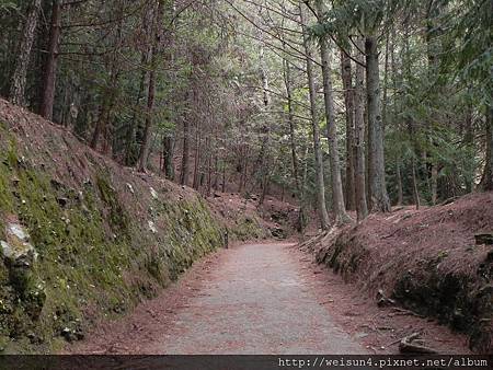 武陵_DSCN0935_桃山瀑布步道.JPG 武陵_DSCN0935_桃山瀑布步道.JPG