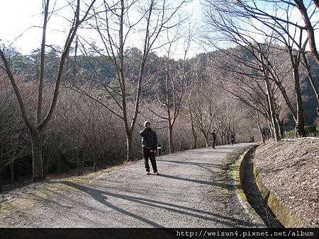 武陵_WP_IMG_3728_農莊文物館.JPG 武陵_WP_IMG_3728_農莊文物館.JPG