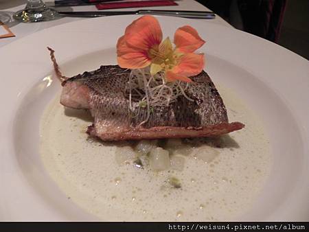 米其林_橘園餐廳_DSCN9340_鱸魚義式燉飯佐龍蒿奶油醬 米其林_橘園餐廳_DSCN9340_鱸魚義式燉飯佐龍蒿奶油醬