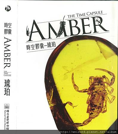 時空膠囊-琥珀a_外殼-1.jpg 時空膠囊-琥珀a_外殼-1.jpg