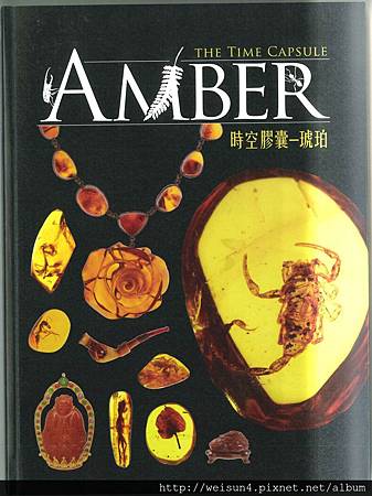 時空膠囊-琥珀b_封面.jpg 時空膠囊-琥珀b_封面.jpg