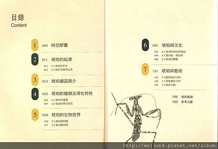 時空膠囊-琥珀c_目錄.jpg 時空膠囊-琥珀c_目錄.jpg