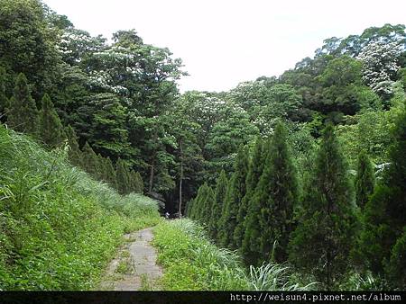 鹿寮坑_DSCN7922 鹿寮坑_DSCN7922