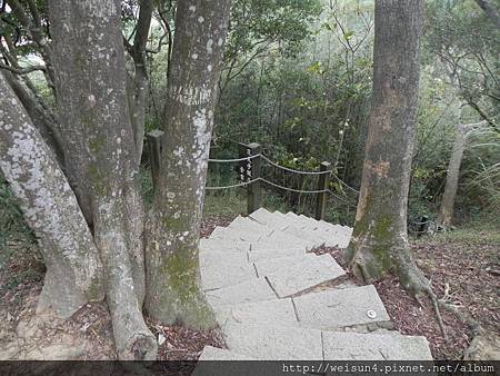 劍潭古道_DSCN8880_步道 劍潭古道_DSCN8880_步道