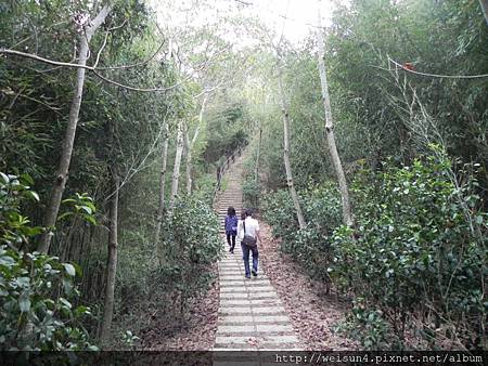 劍潭古道_DSCN8909_步道 劍潭古道_DSCN8909_步道