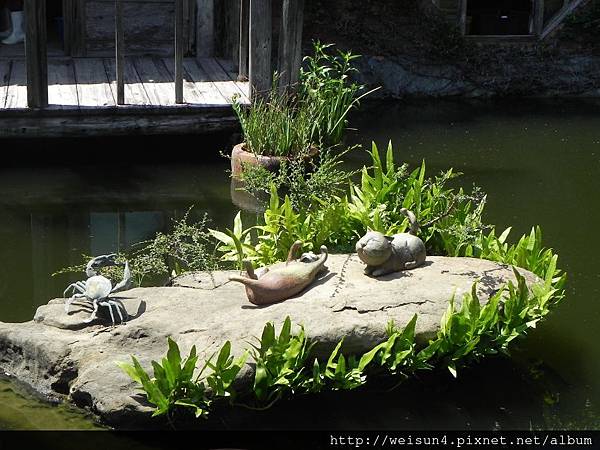 華陶窯_DSCN7226_貓與螃蟹.JPG 華陶窯_DSCN7226_貓與螃蟹.JPG