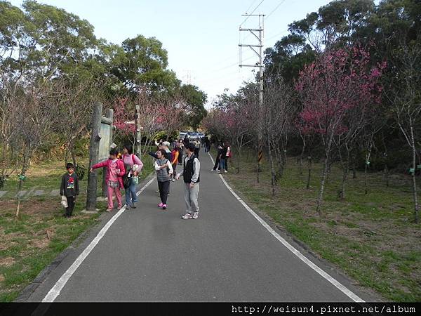 青青草原_DSCN1000.JPG 青青草原_DSCN1000.JPG