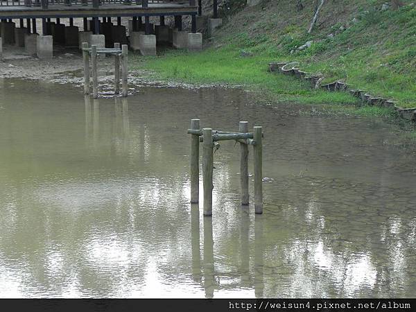 青青草原_DSCN1663_水水公園.JPG 青青草原_DSCN1663_水水公園.JPG