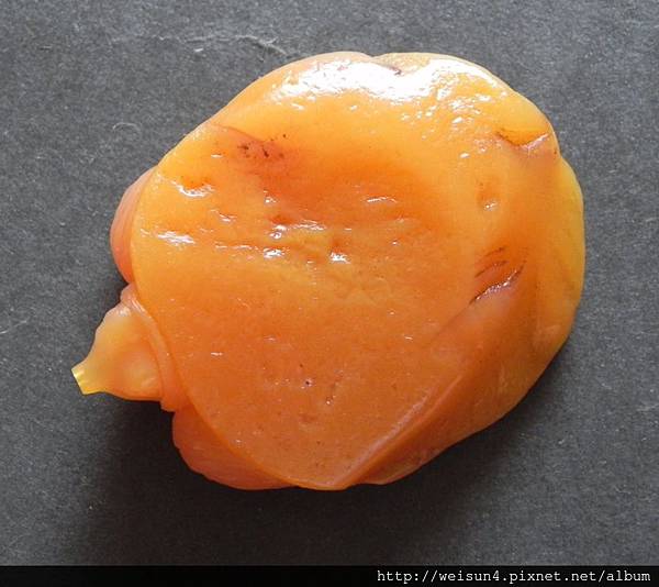 老撾田_鼈_(袁德春) 