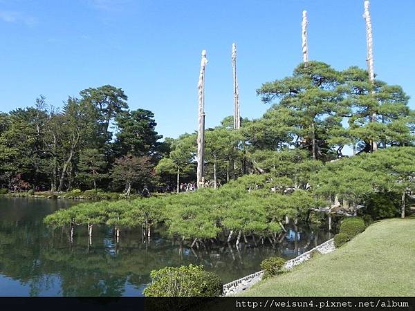 北陸_DSCN1942_兼六園_雪吊.JPG 北陸_DSCN1942_兼六園_雪吊.JPG
