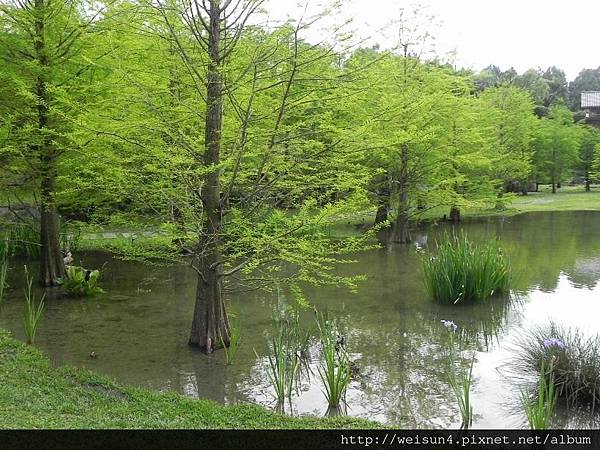 雲水度假森林_DSCN1731_羽松湖.JPG 雲水度假森林_DSCN1731_羽松湖.JPG